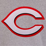 Cincinnati Reds Two-Tone Reversible Fleece Jacket - Gray/Black - J.H. Sports Jackets