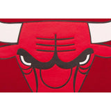 Chicago Bulls JH Design Domestic Two-Tone Wool and Leather Jacket-Red