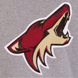 NHL Arizona Coyotes JH Design Two-Tone Reversible Fleece Jacket - Gray/Black