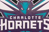 Charlotte Hornets Domestic Two-Tone Handmade Wool and Leather Jacket-Black/White