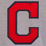 JH Design Cleveland Indians Two-Tone Reversible Fleece Jacket - Gray/Navy