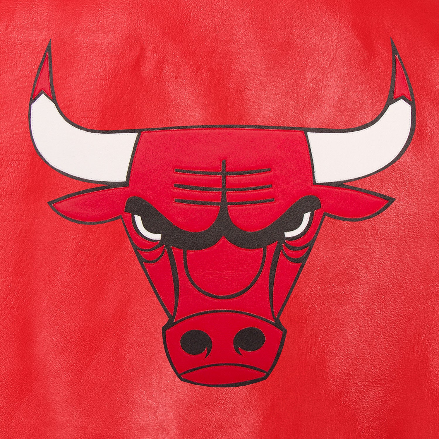 Chicago Bulls Full Leather Jacket - Red Large