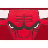 Chicago Bulls JH Design Domestic Two-Tone Wool and Leather Jacket-Red - JH Design