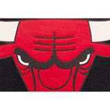 Chicago Bulls JH Design Domestic Two-Tone Wool and Leather Jacket-Black - JH Design