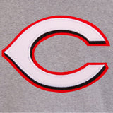 Cincinnati Reds Two-Tone Reversible Fleece Jacket - Gray/Black - JH Design